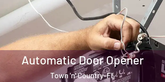 Automatic Door Opener Town 'n' Country-FL