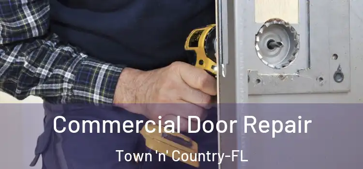  Commercial Door Repair Town 'n' Country-FL
