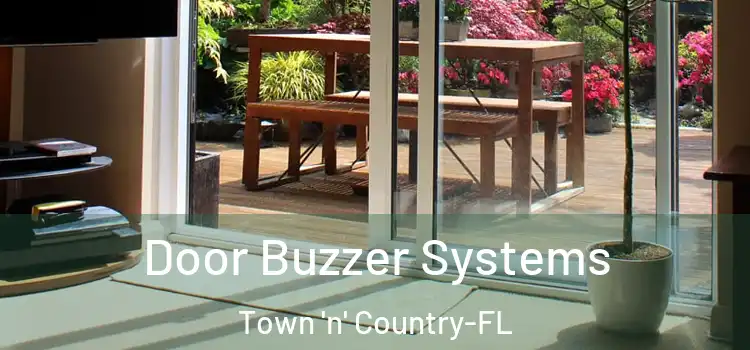 Door Buzzer Systems Town 'n' Country-FL
