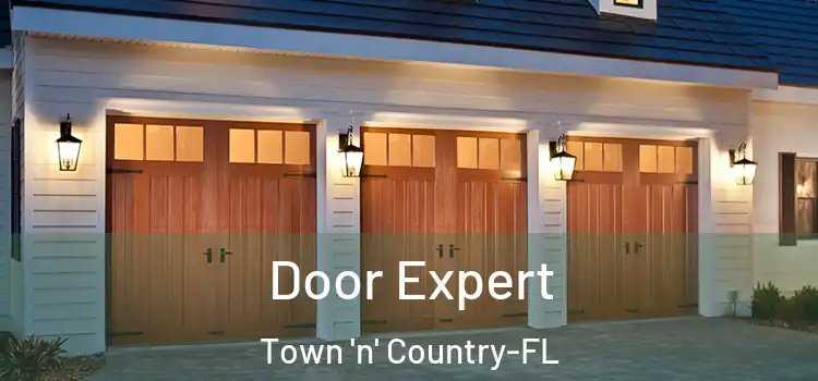  Door Expert Town 'n' Country-FL