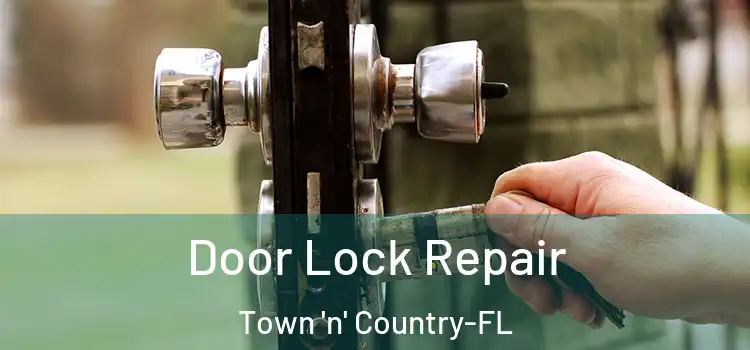Door Lock Repair Town 'n' Country-FL