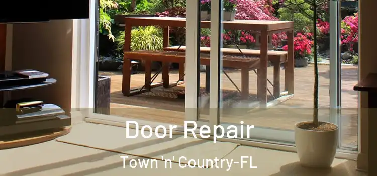  Door Repair Town 'n' Country-FL