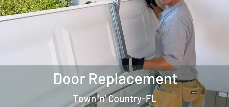 Door Replacement Town 'n' Country-FL