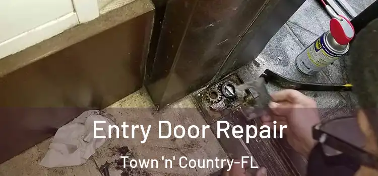 Entry Door Repair Town 'n' Country-FL