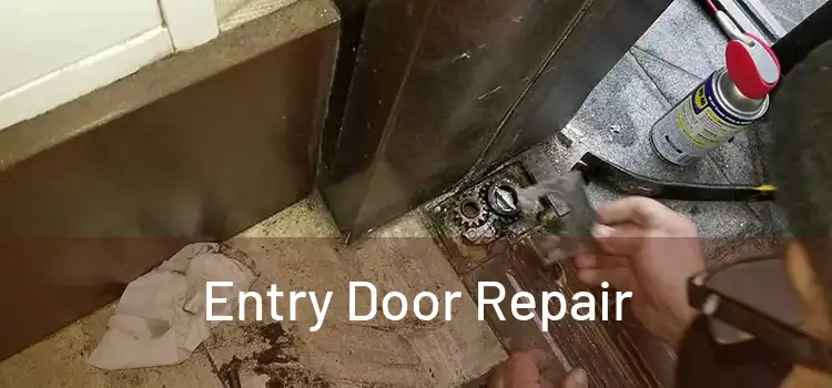 Entry Door Repair