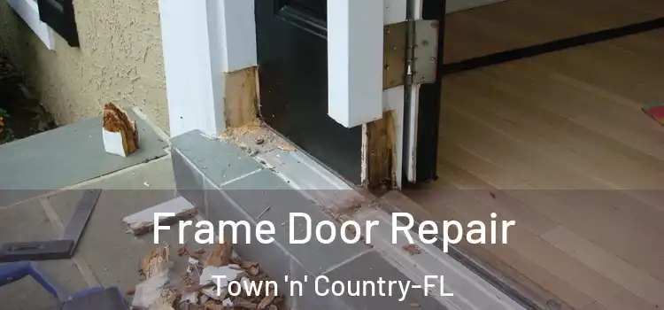 Frame Door Repair Town 'n' Country-FL