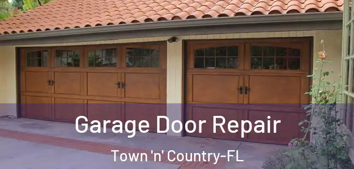 Garage Door Repair Town 'n' Country-FL