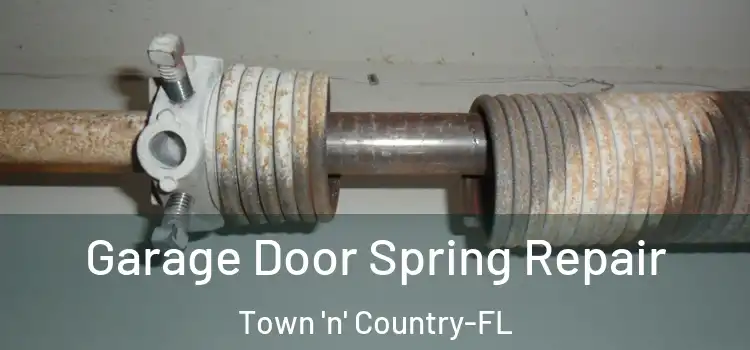 Garage Door Spring Repair Town 'n' Country-FL