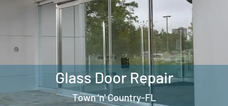 Glass Door Repair Town 'n' Country-FL