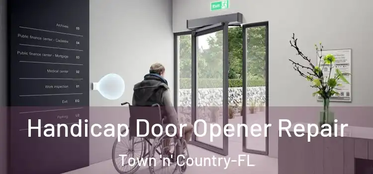  Handicap Door Opener Repair Town 'n' Country-FL