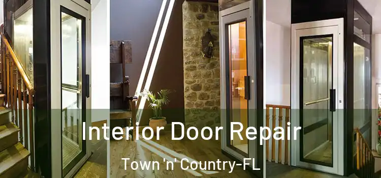 Interior Door Repair Town 'n' Country-FL