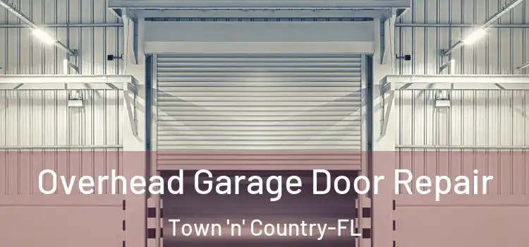  Overhead Garage Door Repair Town 'n' Country-FL