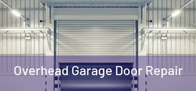 Overhead Garage Door Repair
