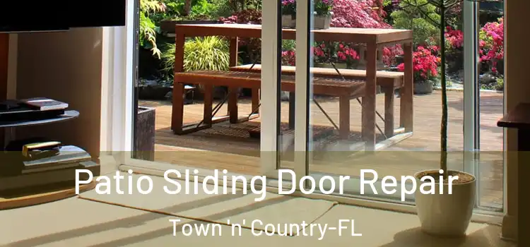 Patio Sliding Door Repair Town 'n' Country-FL