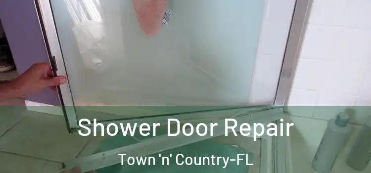 Shower Door Repair Town 'n' Country-FL