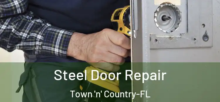 Steel Door Repair Town 'n' Country-FL