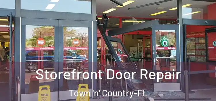 Storefront Door Repair Town 'n' Country-FL